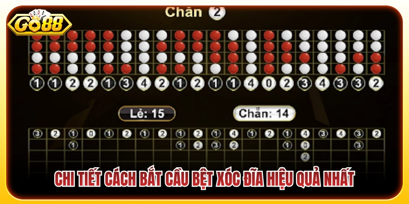 Quy trình soi và bắt nhịp cầu bệt xóc đĩa tối ưu nhất 